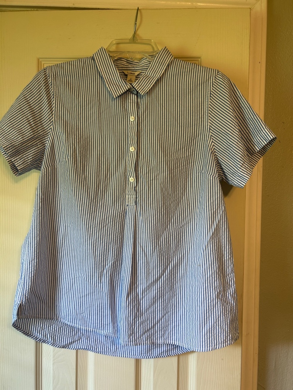 🎭2/$30🎭 L.L. Bean blue white stripe shirt